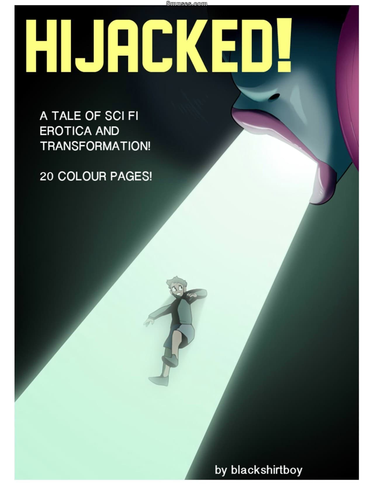 Hijacked cover