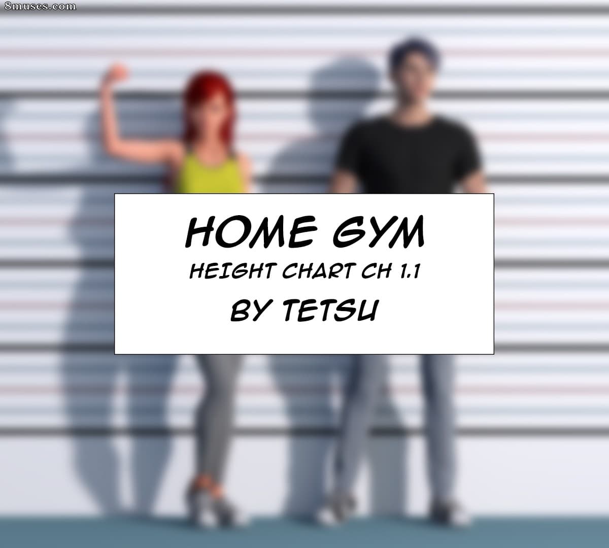 Home Gym cover