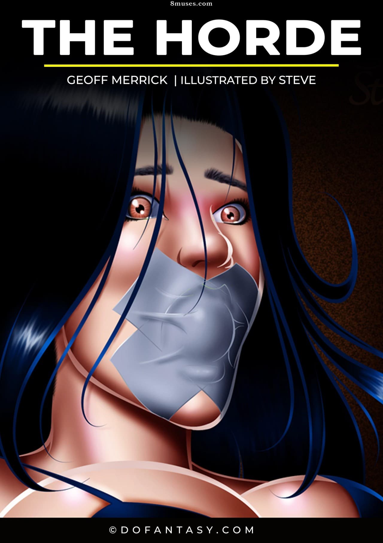 Fansadox Novel cover