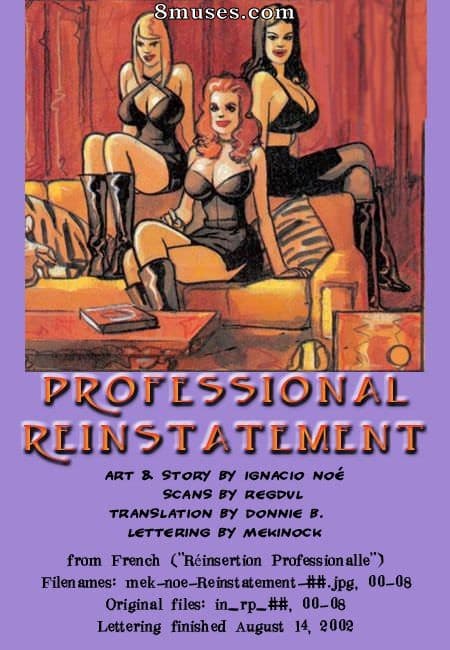 Professional Reinstallment cover