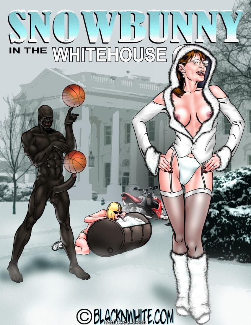 Snow Bunny cover