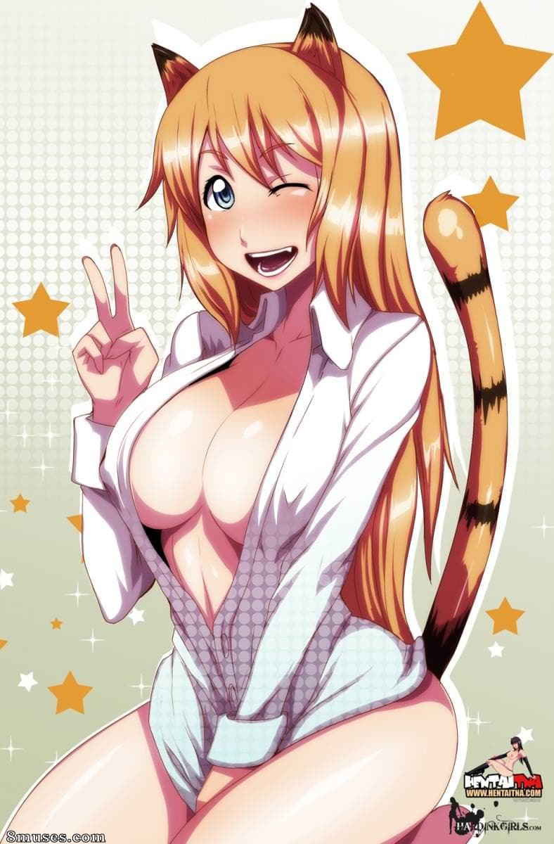 Stray Cat cover