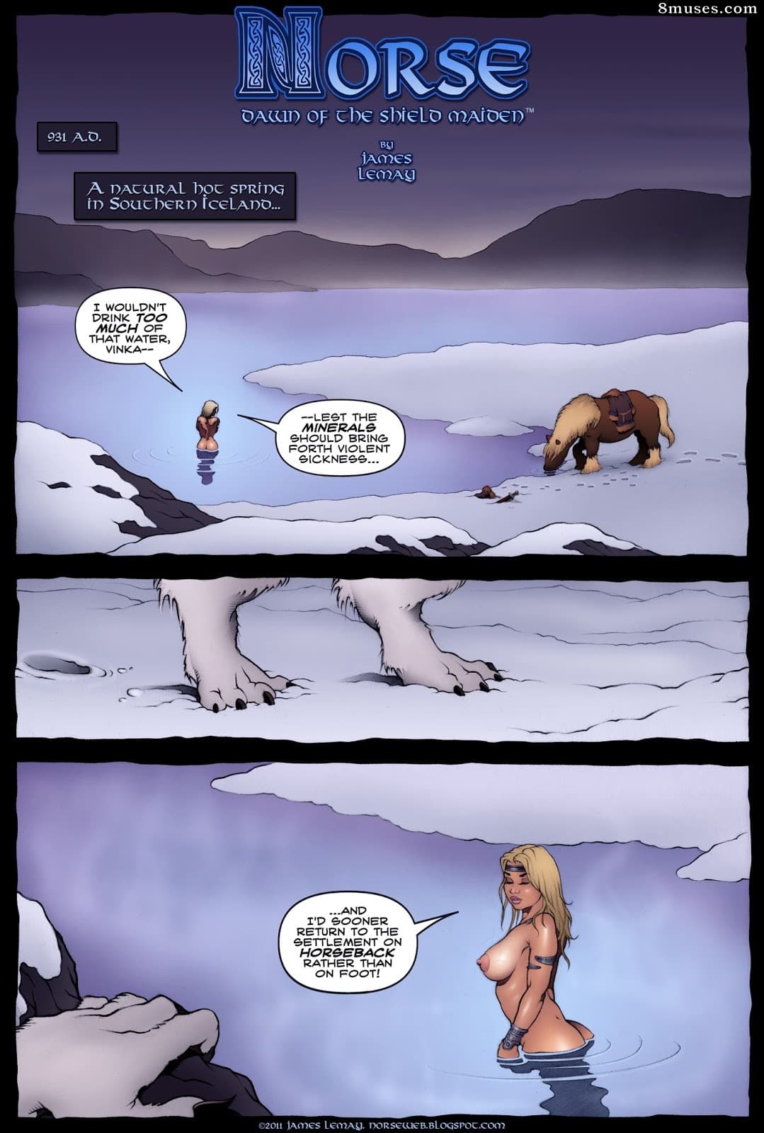 Norse Dawn of The Shield Maiden cover